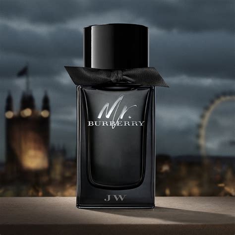 burberry mr burberry eau spray reviews|mr burberry perfume review.